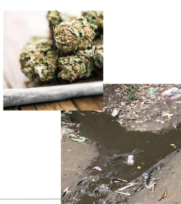 গাজা বেপারী আমির হামজার এর মেয়েরা ও মা মনোয়ারা পরিবার মিলে মানুষদের অত্যাচার। 