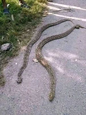 টাঙ্গাইল জেলার সকলের অবগতির জন‍্য- 