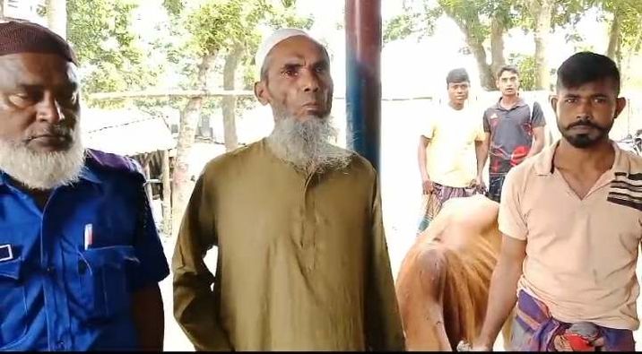 লোহাগড়ায় জামিন পেয়েই বাদীর গরু লুট: ১৩ দিন পর উদ্ধার