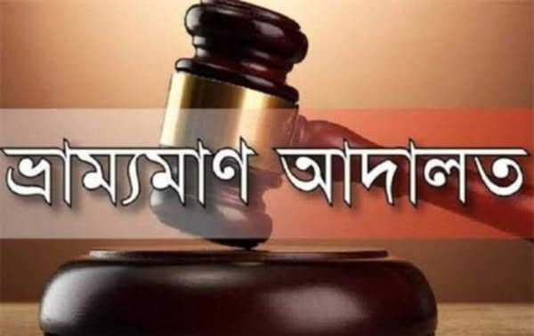 সখিপুরে দুই মাটি ব্যবসায়ীকে জরিমানা