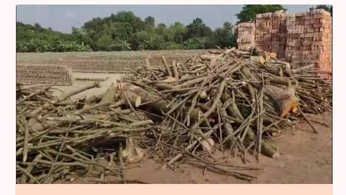 ঝিনাইদহ কালীগঞ্জে অবৈধ ইট ভাটায় পুড়ছে কাঠ : নিরব কর্তৃপক্ষ   