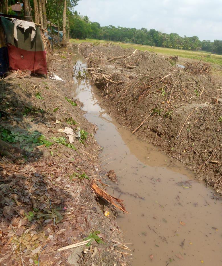 পটুয়াখালীর চরবিশ্বাসে ভয়াবহ দখল-তাণ্ডব: অস্ত্রের মুখে শতাধিক গাছ কেটে নিয়ে গেল দুষ্কৃতিকারীরা