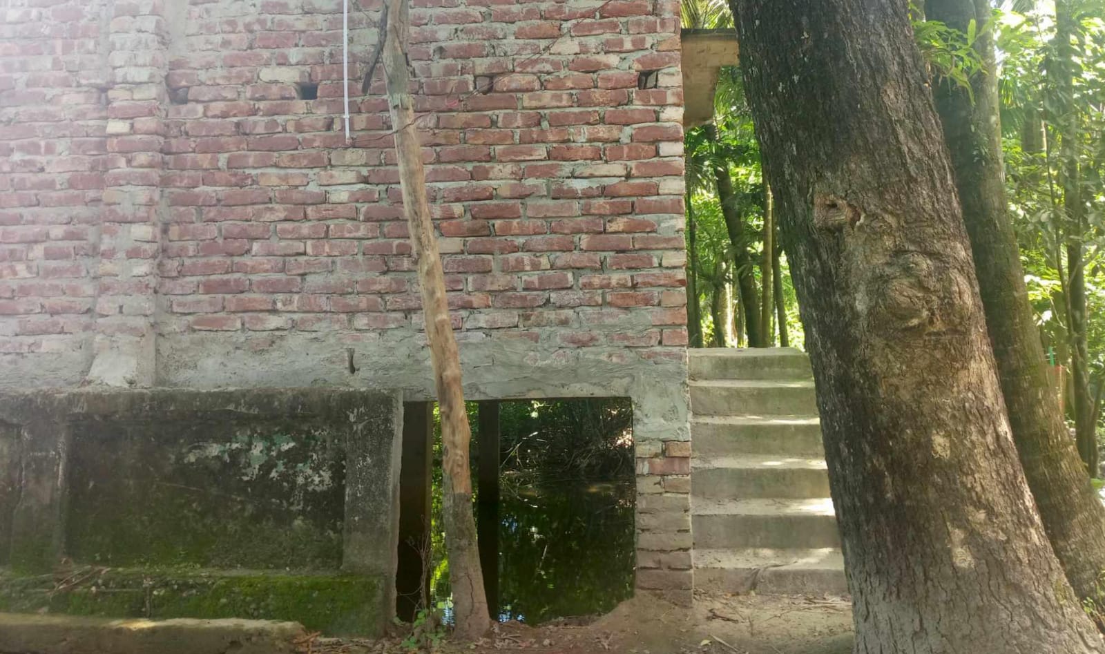 সরকারি খাল দখল করে দোকান নির্মাণ, অভিযোগ আওয়ামী লীগ নেতার বিরুদ্ধে  