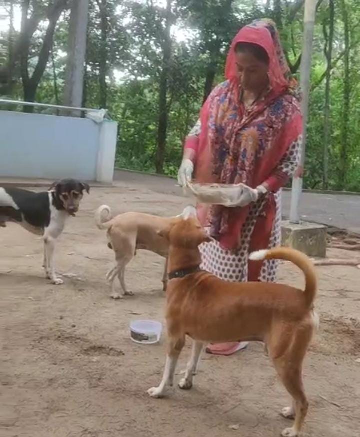 বাটালি হিলে পথ কুকুর হত্যার হুমকি: প্রাণীপ্রেমী নারীর বিরুদ্ধে সংঘবদ্ধ চক্রান্ত!