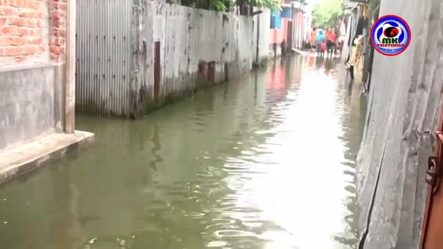 অভিযোগ দিয়েও মিলছে না সমাধান— পার্বতীপুর পৌরসভার গুলপাড়ায় জলাবদ্ধতায় পানিবন্দি মানুষ | 
