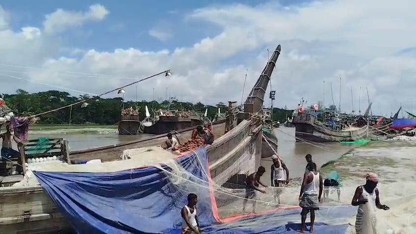 ইলিশ ধরা ও সংরক্ষণে আসছে নিষেধাজ্ঞা, মনপুরা উপকূলের অর্ধলক্ষাধিক জেলে দিশেহারা।