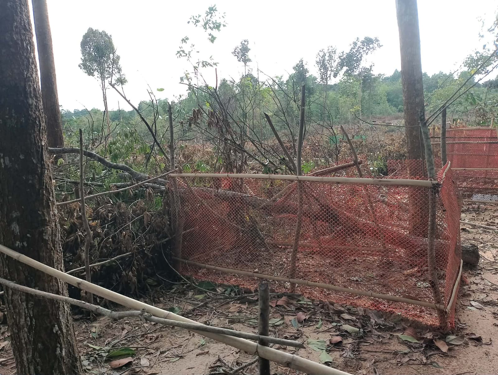 জাতীয় পত্রিকায় নিউজ প্রকাশে স্থানীয় প্রশাসন নড়েচড়ে বসেছে  সফিপুর কবরস্থান কেলেঙ্কারি ধামাচাপা দিতে মিথ্যা স্বাক্ষর সংগ্রহের অভিযোগ