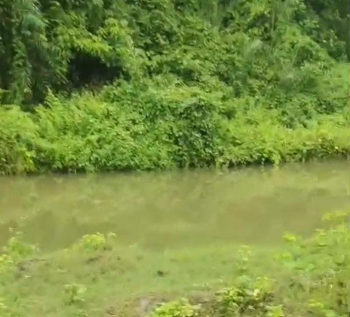 রাঙ্গুনিয়ায় সংরক্ষিত বনভূমি দখল ও সরকারি সম্পদ লুটের অভিযোগ: তদন্তের দাবি